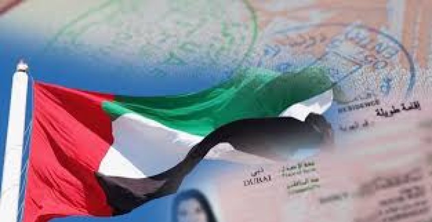 UAE introduces new visa categories including AI specialists, cruise workers and humanitarian permits