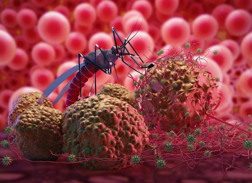 Alert in Malappuram after 3 of a migrant worker family test positive for malaria