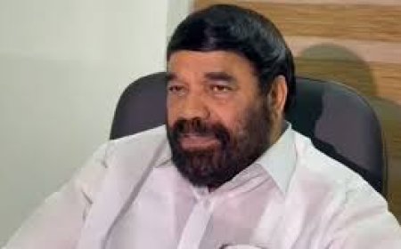 ശബരിമലയിലെ ദ്വാരപാലക പീഠവിവാദം; ഉണ്ണിക്കൃഷ്ണൻ പോറ്റിയുടെ ഇടപെടലിൽ ദുരൂഹതയെന്ന് മന്ത്രി   വാസവൻ