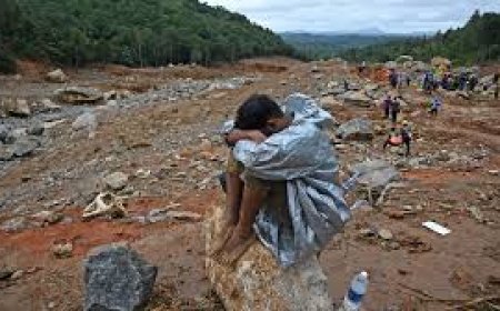 Left, Cong slam Centre for 'pittance' given for Wayanad landslide disaster
