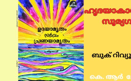 ഹൃദയാകാശങ്ങളിലെ സൂര്യഗായത്രി: ബുക് റിവ്യൂ,  കെ. ആര് മോഹന്ദാസ്