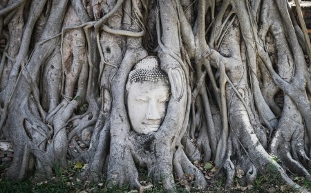 Thailand to offer 200,000 free domestic flights for international tourists