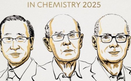 Meet the 2025 Chemistry Nobel laureates