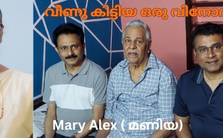 വീണു കിട്ടിയ ഒരു വിനോദയാത്ര 'എട്ടാം ഭാഗം': Mary Alex ( മണിയ)