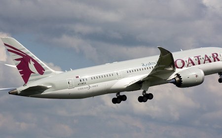 Qatar Airways vegetarian passenger chokes to death after being told to 'Eat Around' meat-based meal