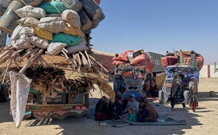 Afghanistan says it has killed 58 Pakistani soldiers in overnight border operations