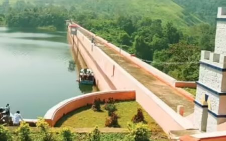 ജലനിരപ്പ് 138.25 അടി; മുല്ലപ്പെരിയാർ അണക്കെട്ടിന്റെ ഷട്ടറുകൾ തുറന്നു