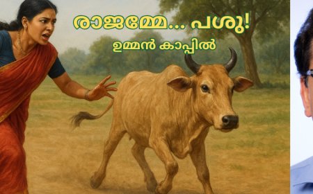 രാജമ്മേ... പശു! -ഉമ്മൻ കാപ്പിൽ