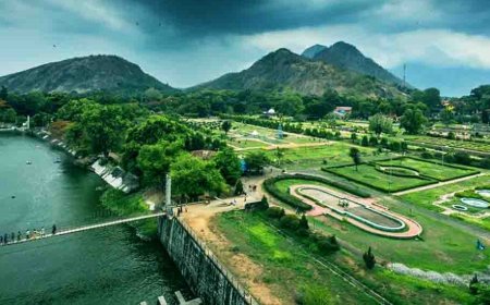 Centre sanctions Rs 300 crore for Palakkad Industrial Smart City Project