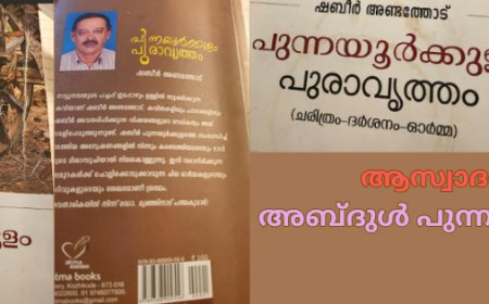 പുന്നയൂർക്കുളം പുരാവൃത്തം: ആസ്വാദനം,  അബ്ദുൾ  പുന്നയൂർക്കുളം