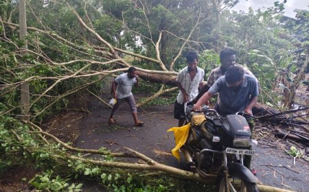 Cyclone Montha: Andhra bars heavy vehicles on national highways from 7 pm; storm warning in TN
