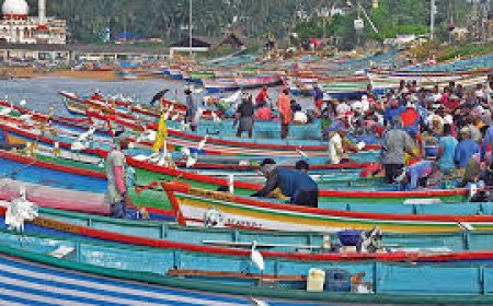 Nationwide marine fisheries census to begin on Oct 31