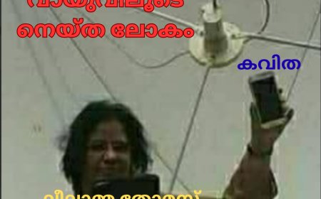 വായുവിലൂടെ നെയ്ത ലോകം: കവിത,   ലീലാമ്മ തോമസ്, ബോട്സ്വാന