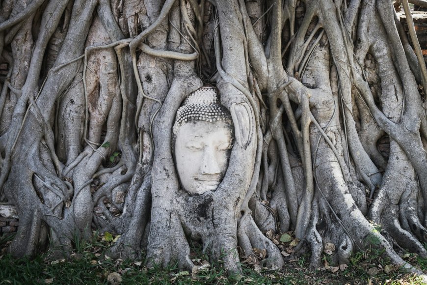 Thailand to offer 200,000 free domestic flights for international tourists