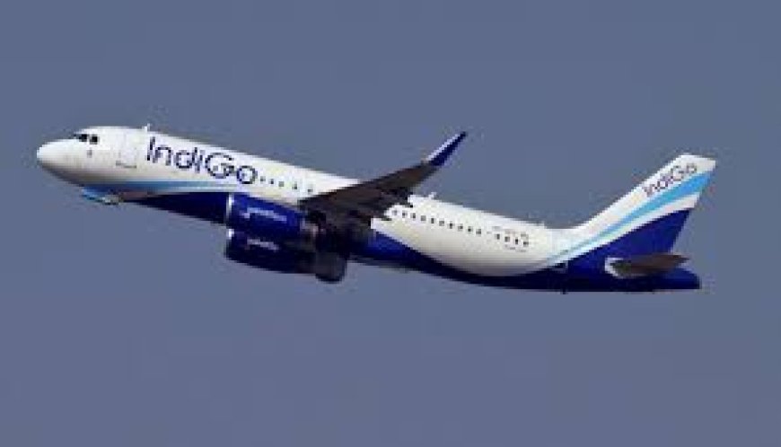 Come Nov, IndiGo’s number of intl destinations will be on par with AI group