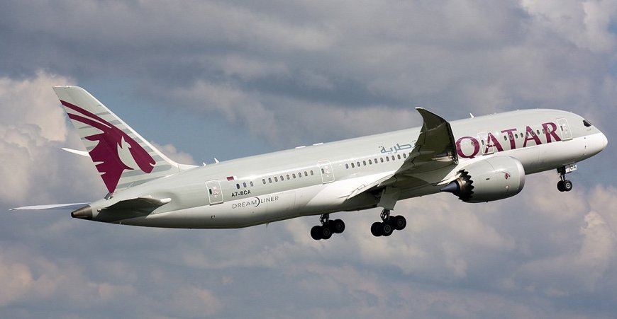 Qatar Airways vegetarian passenger chokes to death after being told to 'Eat Around' meat-based meal