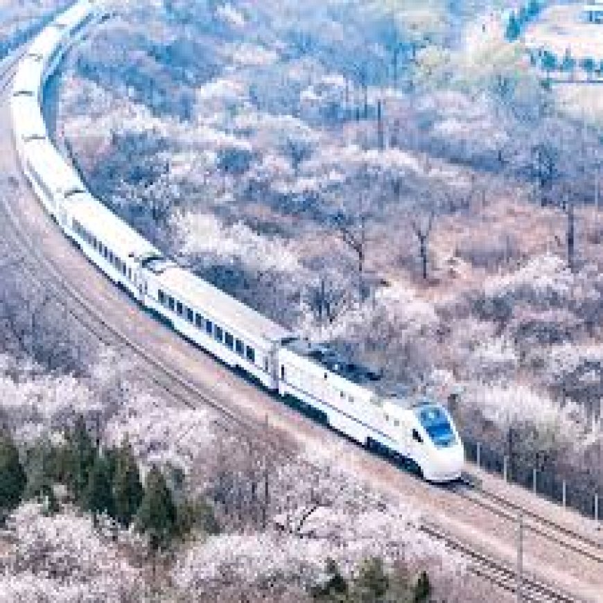World’s longest train journey: 18,755 km across 13 countries in 21 days