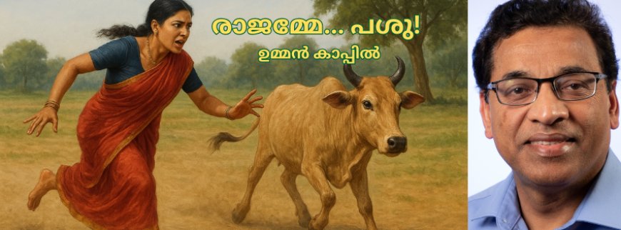 രാജമ്മേ... പശു! -ഉമ്മൻ കാപ്പിൽ