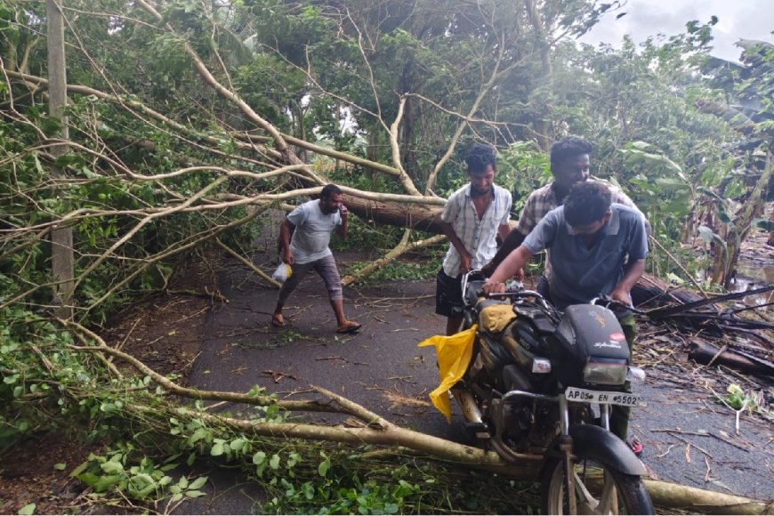 Cyclone Montha: Andhra bars heavy vehicles on national highways from 7 pm; storm warning in TN