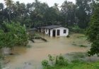 'ഡിറ്റ് വാ’ ചുഴലിക്കാറ്റ്: ശ്രീലങ്കയിൽ  മരണസംഖ്യ 100 കടന്നു