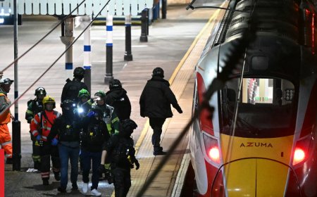 UK police say ‘multiple people’ stabbed on train, two suspects arrested