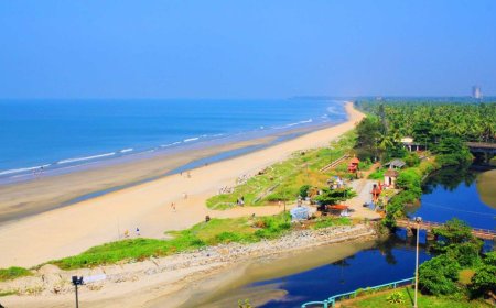 Three Bengaluru medical students drown in rough seas off Kerala's Payyambalam beach