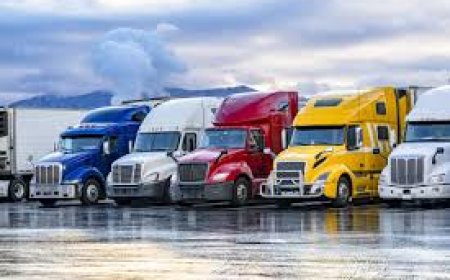 ഇംഗ്ലീഷ് അറിയില്ല; അമേരിക്കയില്‍ 7248 ട്രക്ക് ഡ്രൈവർമാരുടെ പണി പോയി