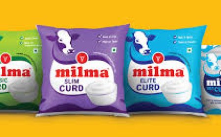 Kerala’s Milma signs MoU to export dairy products to Australia, New Zealand