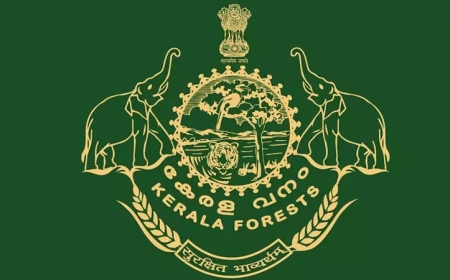 വയനാട്ടിൽ വന്യമൃഗവേട്ട നടത്തിയ ആറംഗ സംഘത്തെ വനംവകുപ്പ് പിടികൂടി