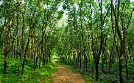 Kerala okays Rs 1,441 crore NABARD-funded projects to boost rural and infrastructure sectors