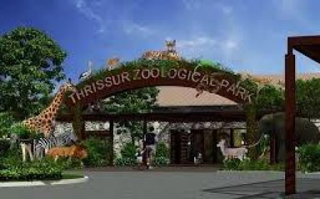 തൃശൂര്‍ പുത്തൂര്‍ സുവോളജിക്കല്‍ പാര്‍ക്കില്‍ തെരുവുനായയുടെ ആക്രമണം; പത്തു മാനുകള്‍ ചത്തു