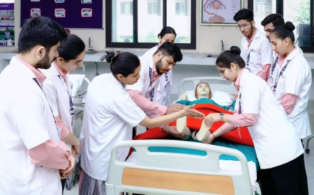 Nurses, midwives form backbone of India's healthcare system: Experts