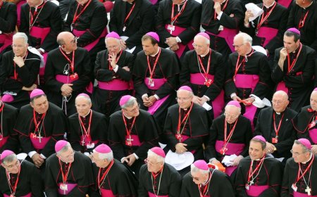 ‘Troubled by threats,’ US Catholic bishops condemn Trump's immigration enforcement