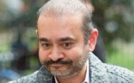 നീരവ് മോദിയുടെ വാഹനങ്ങൾ വിറ്റ് പണം ബാങ്കിലേക്ക് മാറ്റാൻ ഇഡിക്ക് കോടതിയുടെ അനുമതി