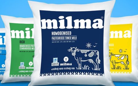 Milma eyes expansion as Kerala’s dairy sector reports 14 per cent surge in procurement