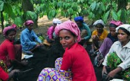 Kerala not to implement new Labour Codes: Sivankutty