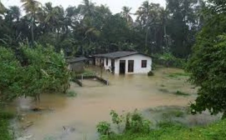 'ഡിറ്റ് വാ’ ചുഴലിക്കാറ്റ്: ശ്രീലങ്കയിൽ  മരണസംഖ്യ 100 കടന്നു