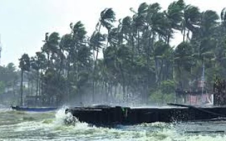 ഡിറ്റ് വാ ചുഴലിക്കാറ്റ് ഇന്ത്യന്‍ തീരത്തേക്ക്; തമിഴ്‌നാട്ടില്‍ റെഡ് അലര്‍ട്ട്