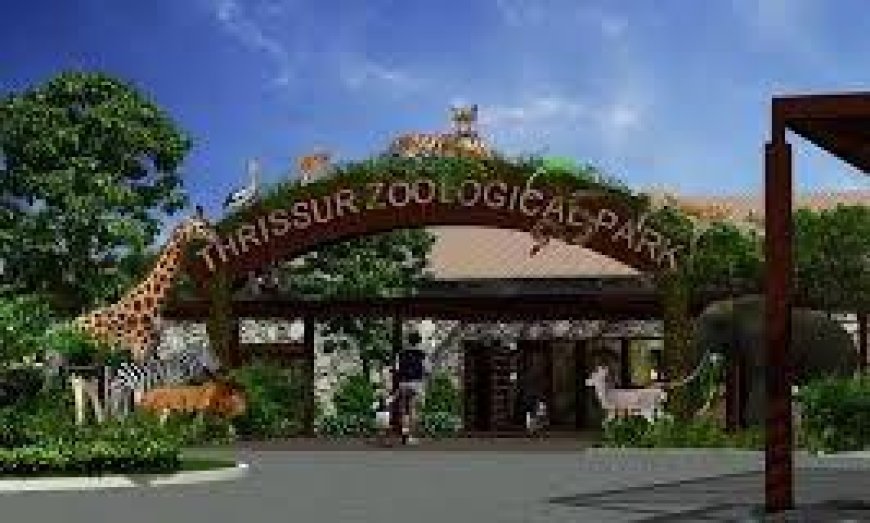 തൃശൂര്‍ പുത്തൂര്‍ സുവോളജിക്കല്‍ പാര്‍ക്കില്‍ തെരുവുനായയുടെ ആക്രമണം; പത്തു മാനുകള്‍ ചത്തു