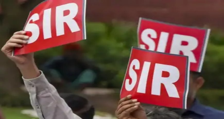 HC refuses to defer SIR, asks state to approach Supreme Court