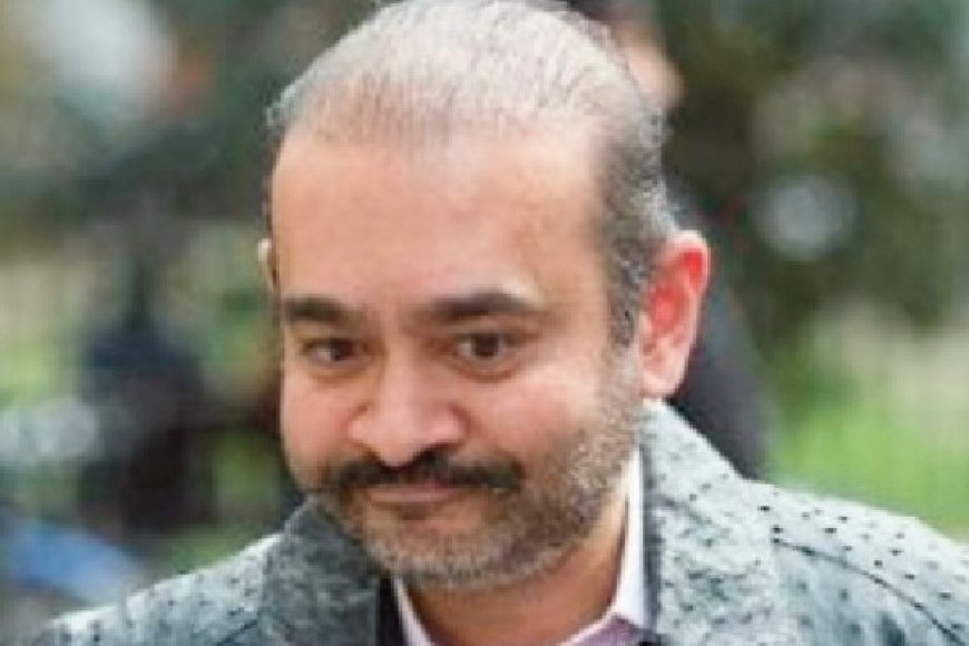 നീരവ് മോദിയുടെ വാഹനങ്ങൾ വിറ്റ് പണം ബാങ്കിലേക്ക് മാറ്റാൻ ഇഡിക്ക് കോടതിയുടെ അനുമതി