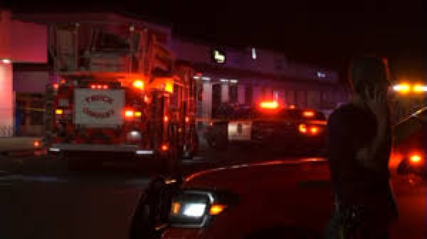 Four killed in shooting at child's birthday party in California