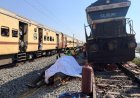 India express train kills seven elephants crossing tracks
