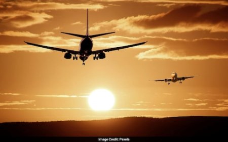 Lawyer's call for Indians to leave the country and give up citizenship sparks debate