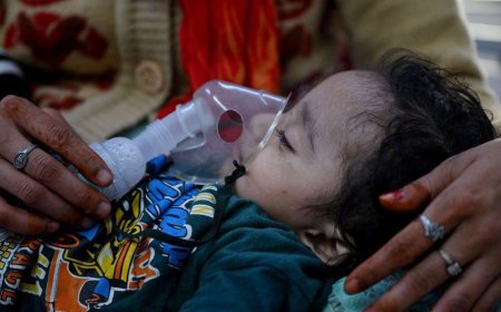 Delhi records 200,000 acute respiratory illness cases amid toxic air