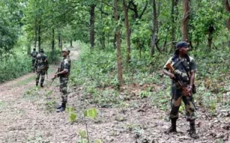 ഛത്തീസ്‌ഗഡില്‍ വൻ ഏറ്റുമുട്ടല്‍; 12 നക്‌സലൈറ്റുകളെ വധിച്ചു, മൂന്ന് സൈനികര്‍ക്ക് വീരമൃത്യു