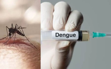 Mosquito spike raises fresh dengue alarm in Kerala