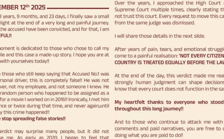 'നിയമത്തിന്റെ മുന്‍പില്‍ എല്ലാവരും തുല്യരല്ല; ഈ വിധിയില്‍ അത്ഭുതമില്ല';  അതിജീവിത