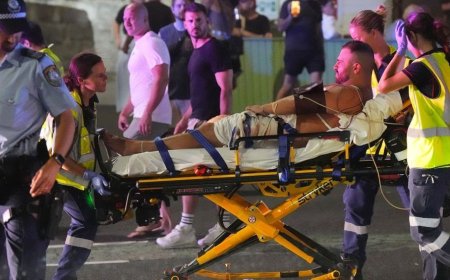 11 killed in Sydney attack at Jewish event