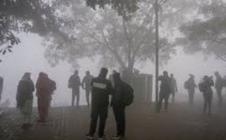 Delhi schools shift from hybrid to online classes for students up to Class V as pollution turns severe